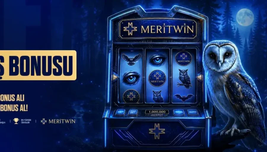 GECE AVCISI BAYKUŞ BONUSU